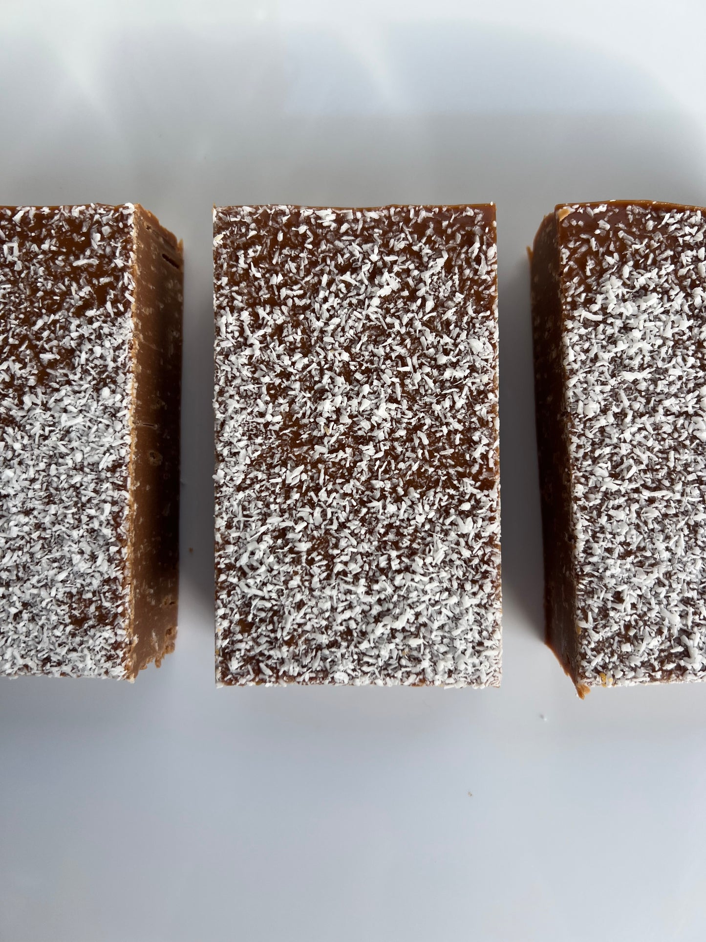 fudge bar (100g)