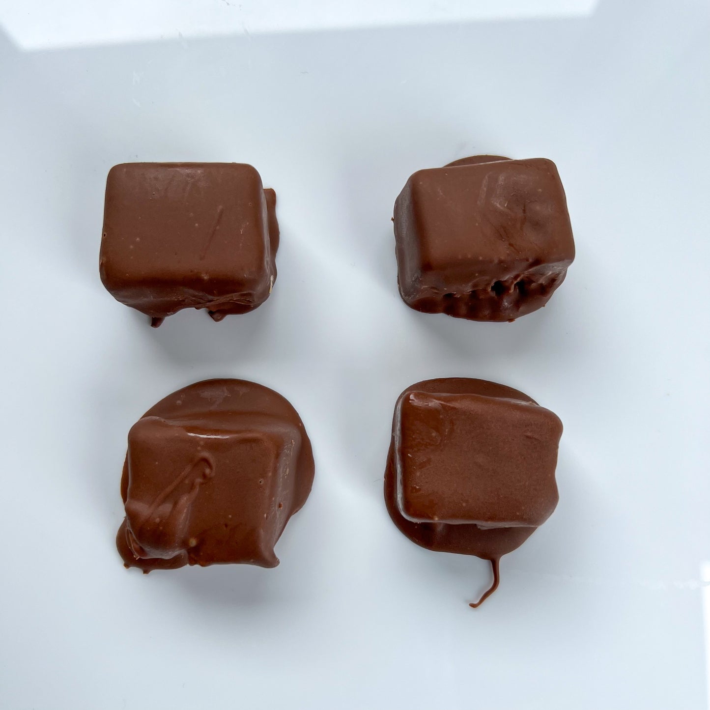 Chocolate Covered Russian Bites