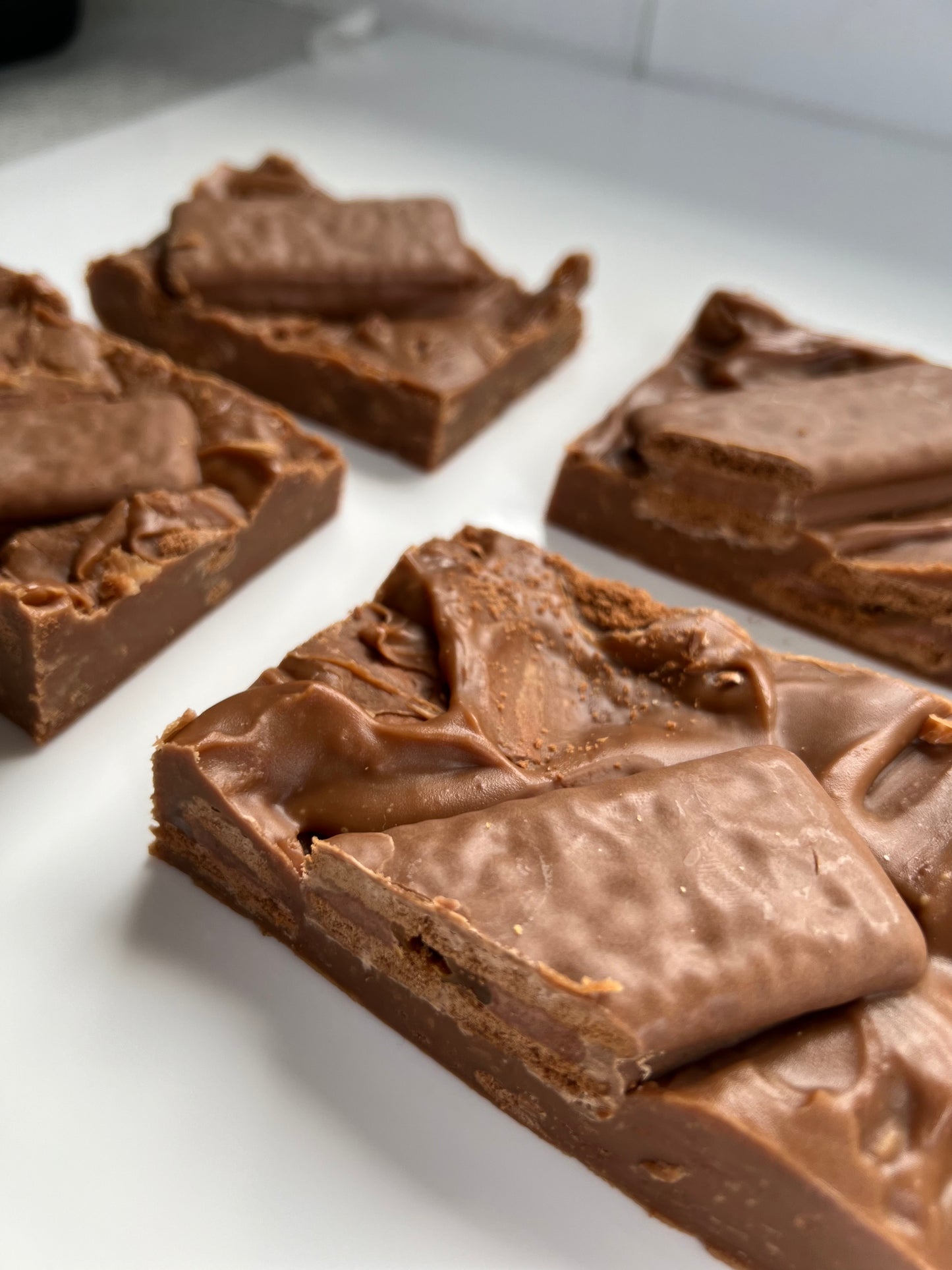 fudge bar (100g)