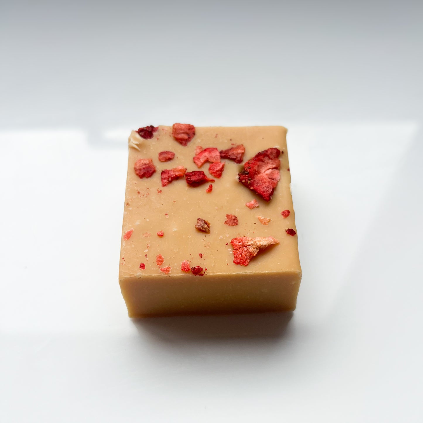 fudge bar (100g)